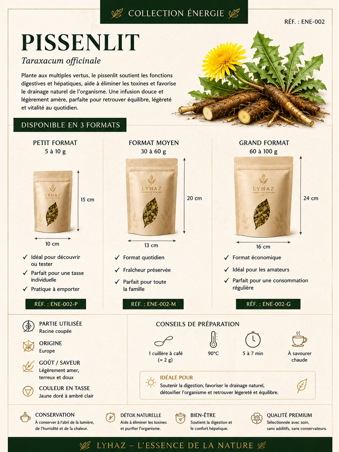 Pissenlit ( Taraxacum officinale )