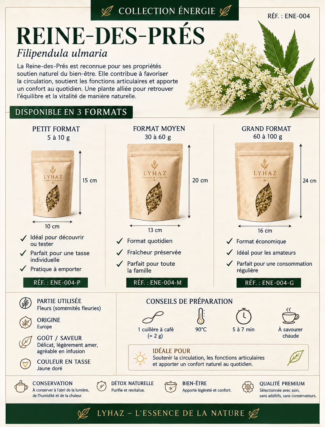 La Reine-des-Prés (Filipendula ulmaria )