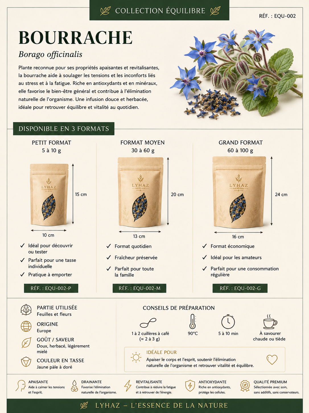 Bourrache (Borago officinalis)