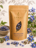 Bourrache (Borago officinalis)