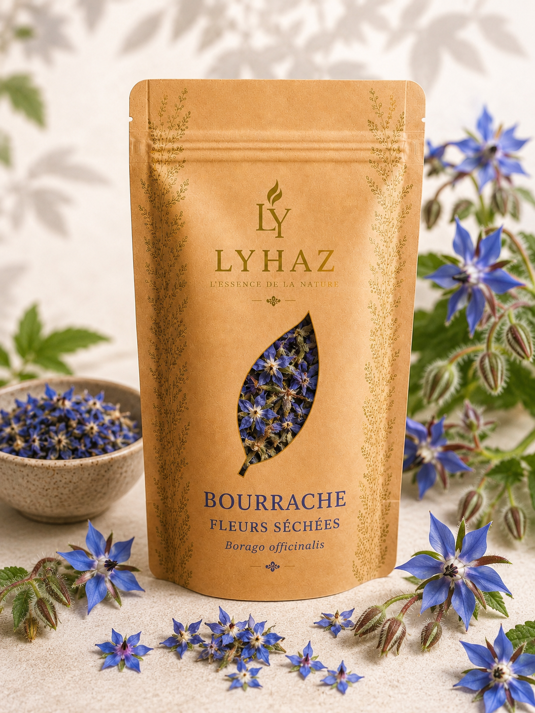 Bourrache (Borago officinalis)