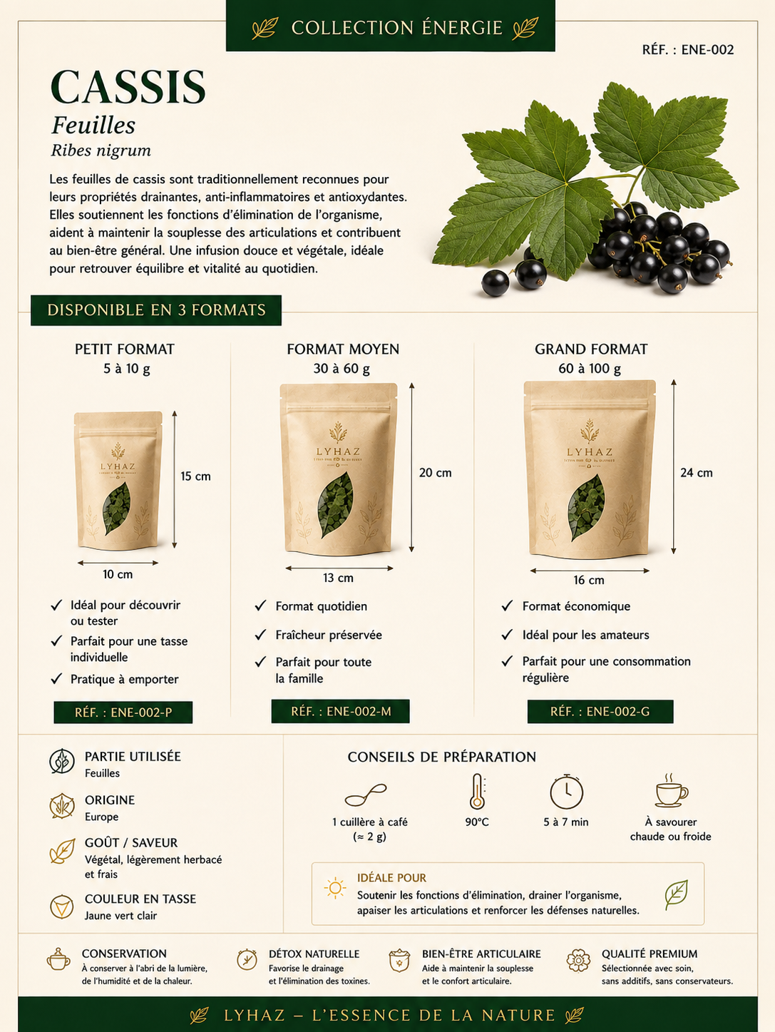 Les feuilles de cassis ( Ribes nigrum )