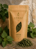 L'Ortie