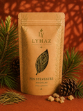 Pin Sylvestre (pinus sylvestris)